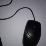 Mouse Biasa