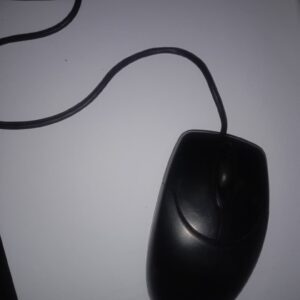 Mouse Biasa